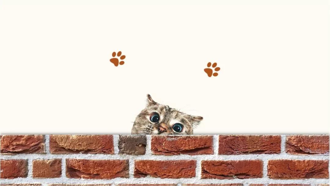 94套手绘风ppt模板送给你,118套高颜值极简风ppt模板送给你