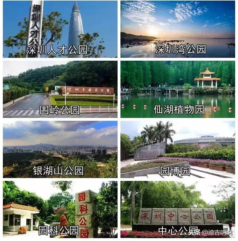 深圳是哪一年开始评为一线城市,深圳是什么时候成为一线城市的