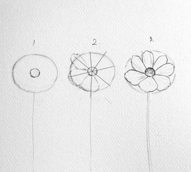 画花怎么才能画好看呢,教大家一个画花技巧