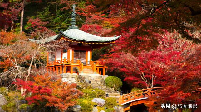 为什么要去西安旅游，这六大理由够不够？