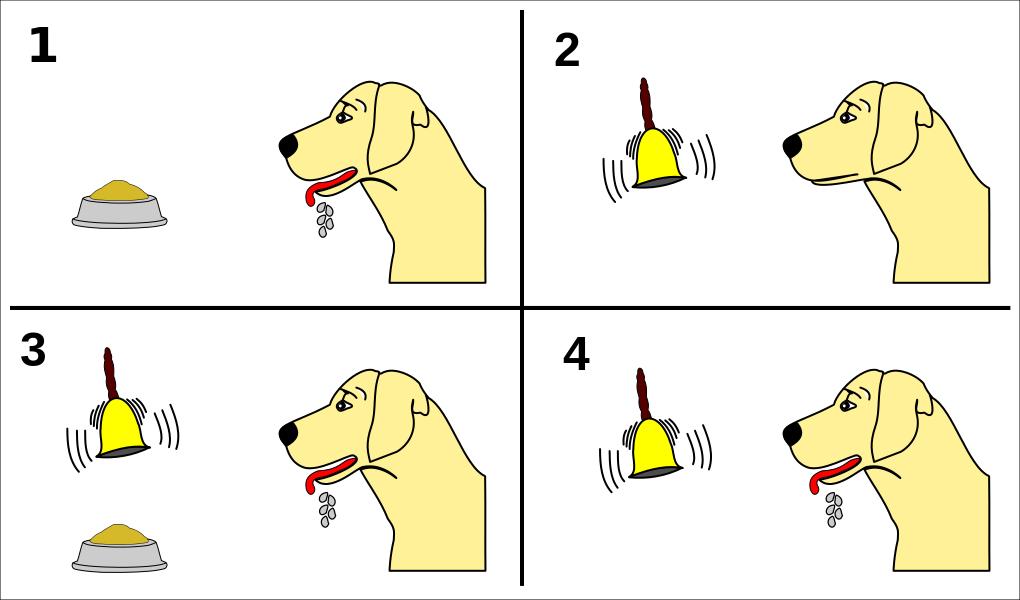 新型冠状病毒是谁传过来的,冠状病毒是科学家弄出来的吗