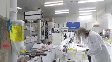 王鸥推荐的精华水,欧阳娜娜推荐的乳霜