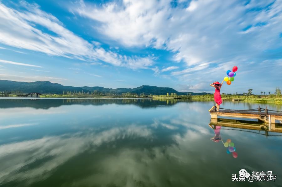 高坪区临江新区,高坪临江新区