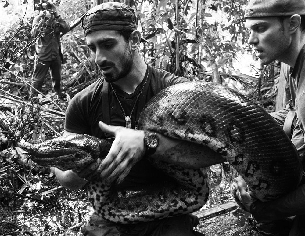 科学家试验被蛇吞,被蛇吞自救实验