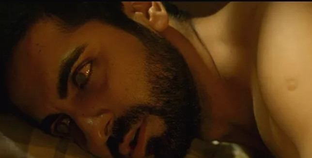 调琴师印度电影解析,印度电影调音师电影解说