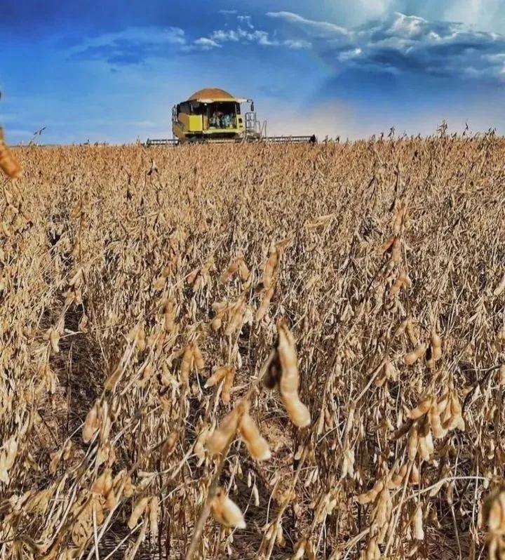 用钱去做农业会怎样,去农村搞种植业投资怎样做最好