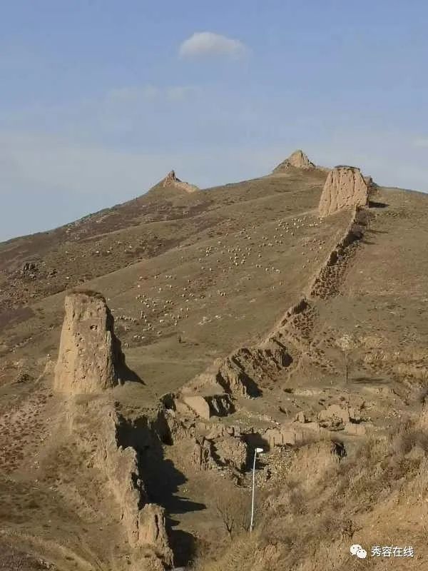 郑志东神池,神池新闻网郑志东