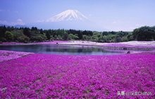 带上佳能eos90d去邂逅浪漫北海道,邂逅北海道的大雪