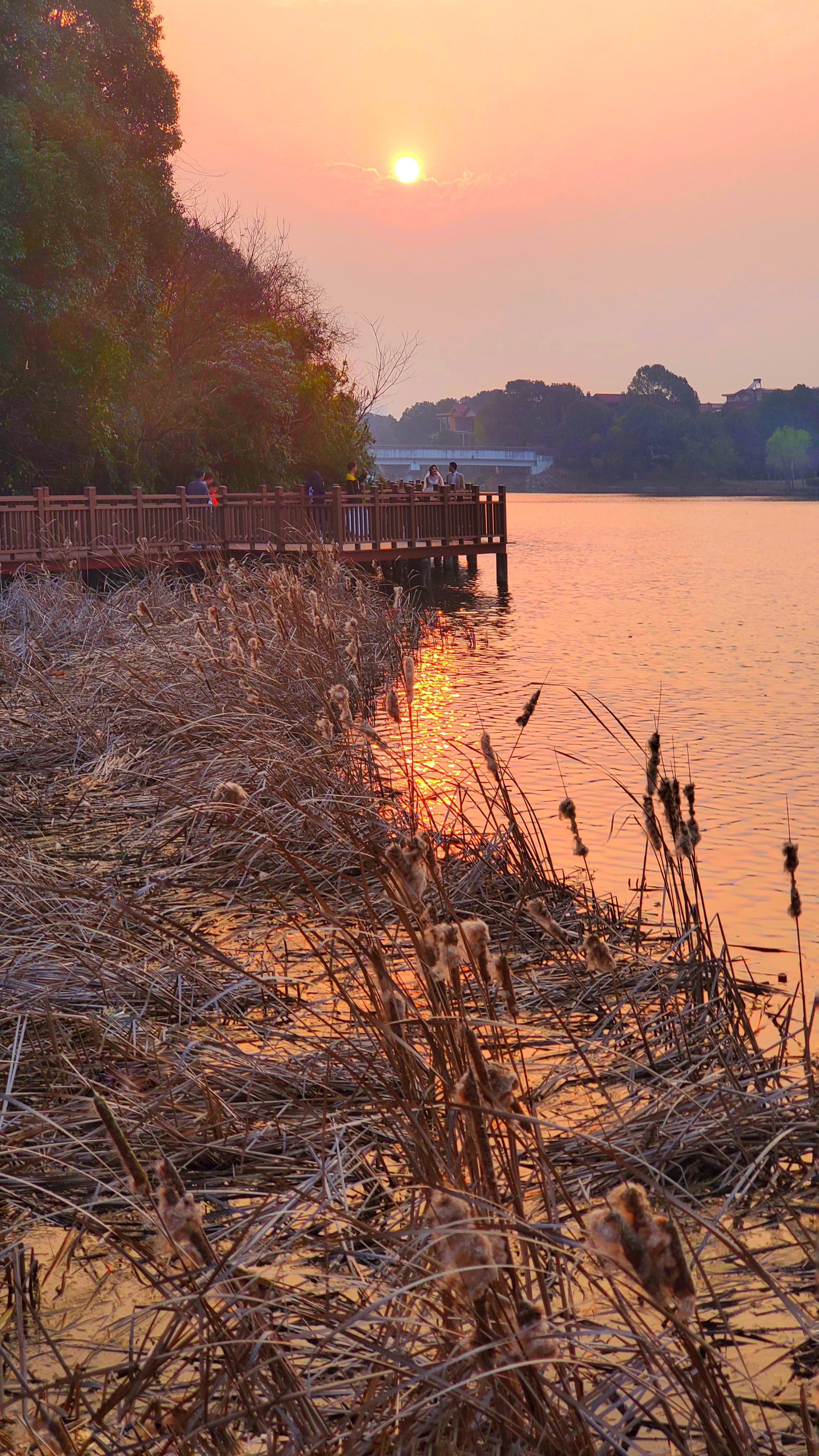 和春住。带着小神兽去踏青
