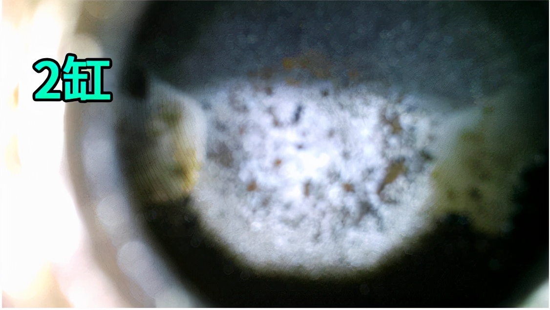 福克斯故障率高为什么还值得买,福克斯三缸吐槽