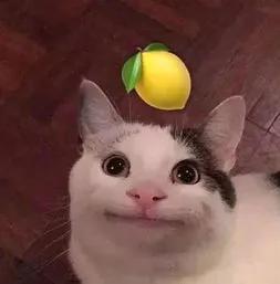 我英语不是很好请见谅的英文,我英语不好可我不是文盲