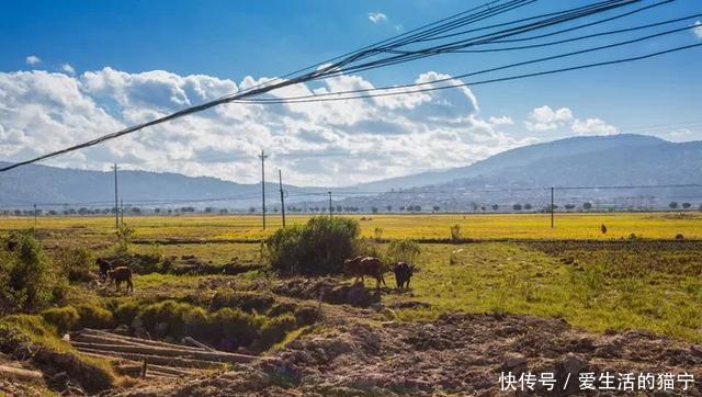 腾冲从早到晚旅游攻略,腾冲7月旅游攻略