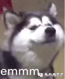 娱乐圈私生子的秘密,娱乐圈私生子真相