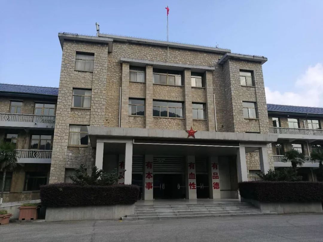 陪领导下乡视频,陪领导下基层指导工作怎么说