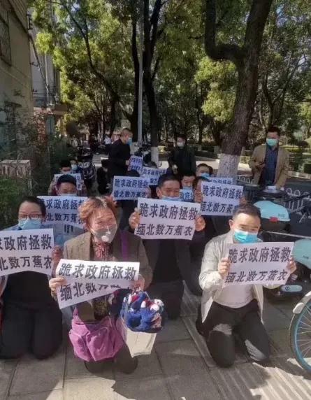 缅北香蕉最新消息,缅北香蕉农