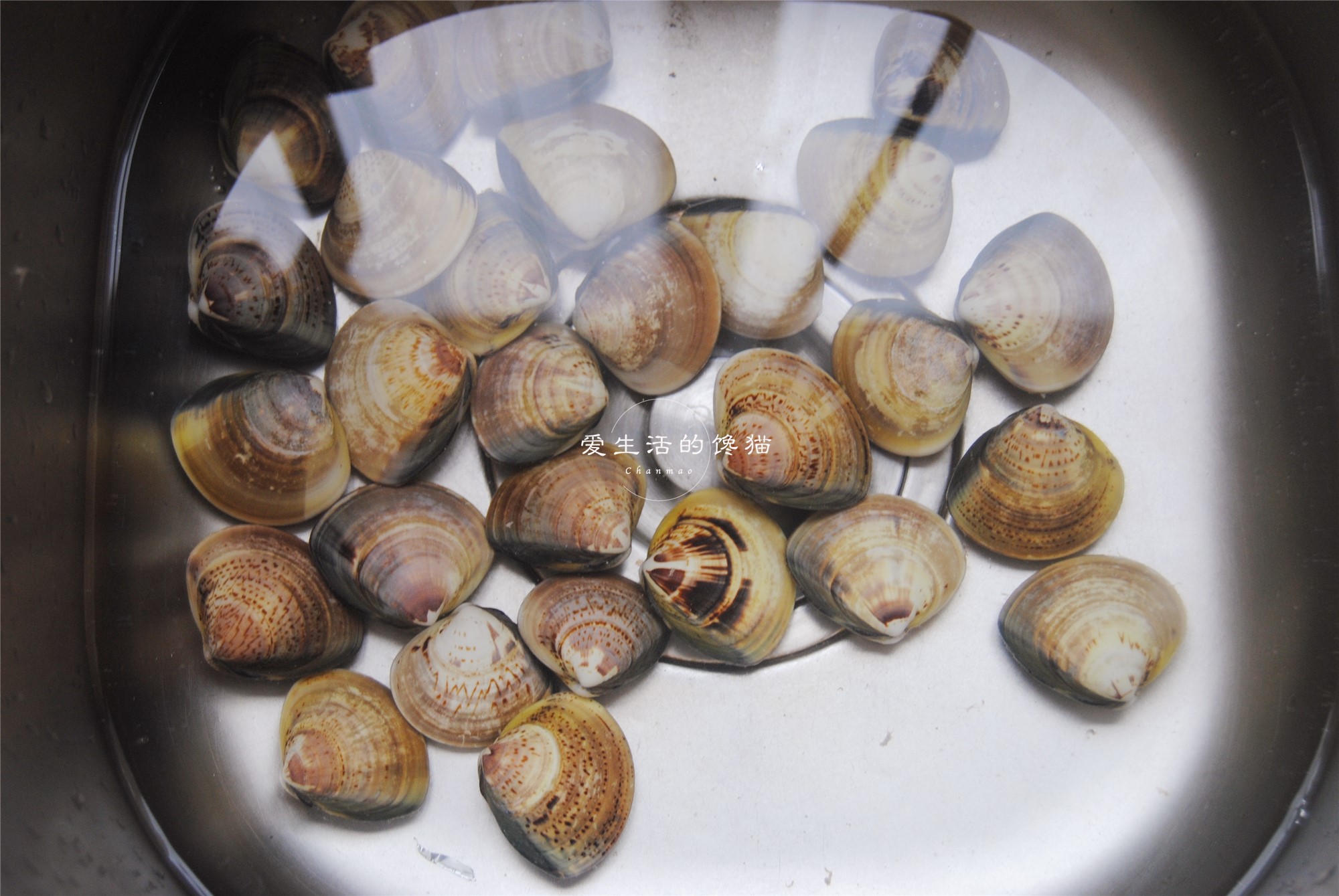 车螺除了打汤还可以怎么吃,车螺最适合吃的季节