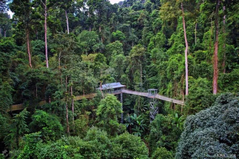 云南西双版纳幸福感,云南最有潜力的城市西双版纳