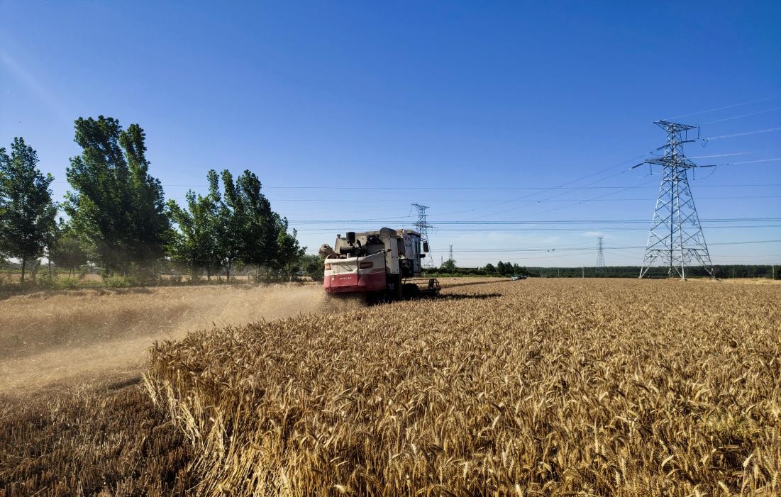 风吹麦飘香“三夏”收播忙