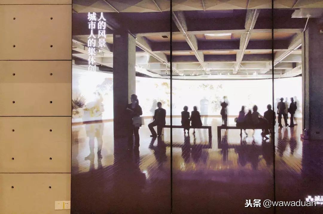 12月的深圳不能错过什么？我已经打卡