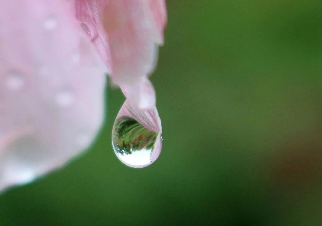水样心情,水样情怀