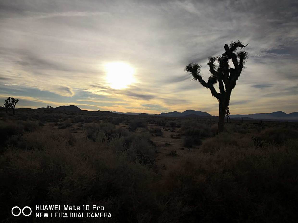 美国之行：沙漠里的不夜城拉斯维加斯