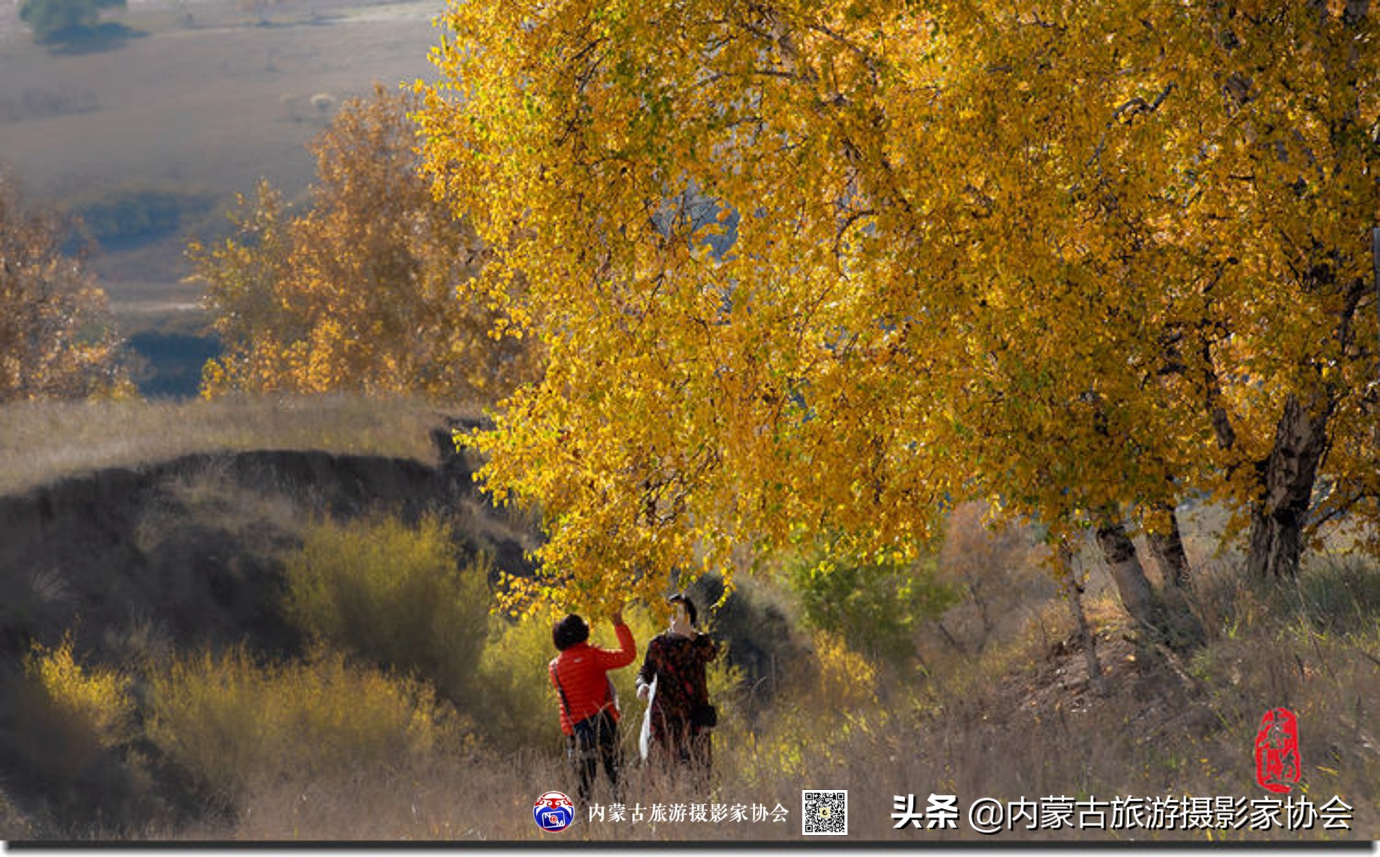 那山那水那滋味,那山那水那份爱