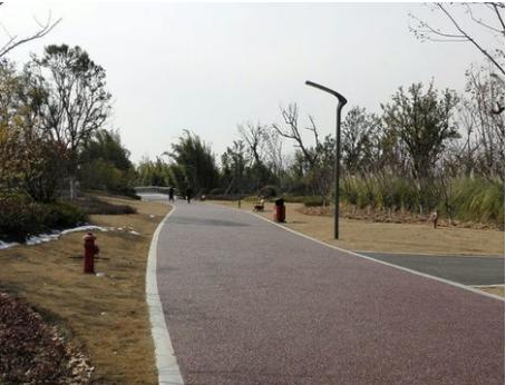 武汉适合骑行绿道公园有哪些,武汉东湖绿道自驾游攻略