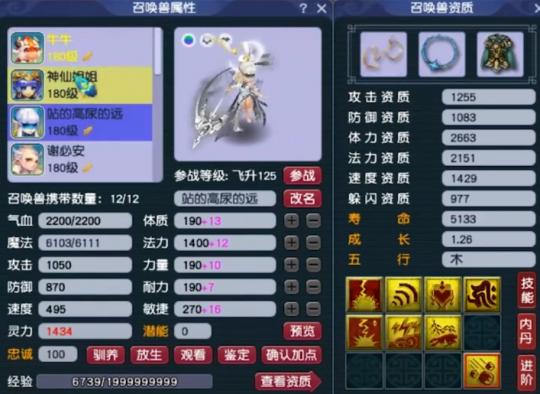 梦幻西游罗浮山服战家族,梦幻西游服战君临天下