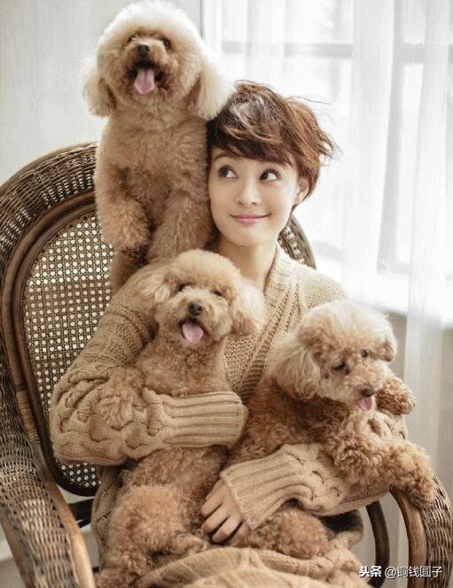 娱乐圈那些感人的事,明星与宠物的感人瞬间