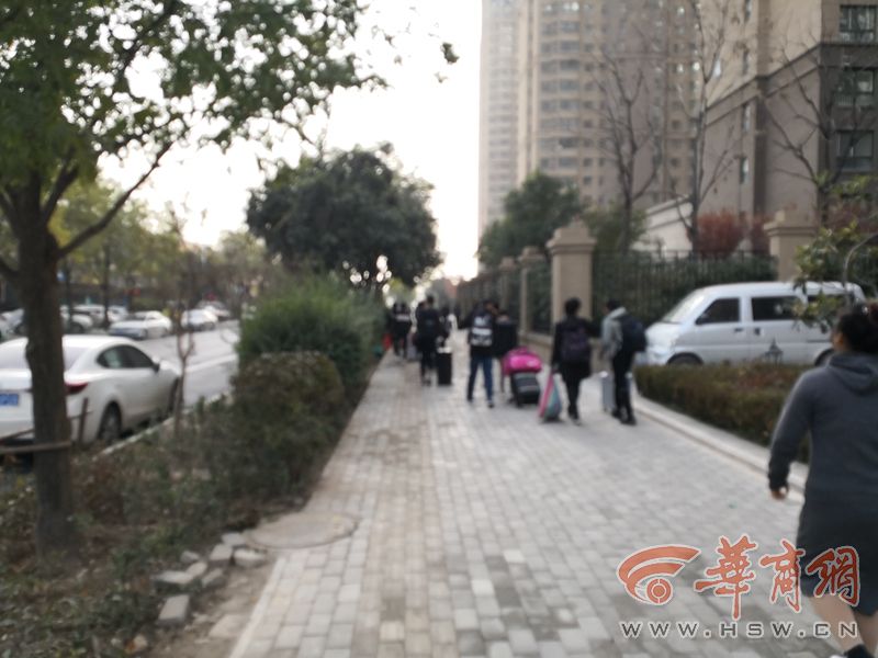 社会实践是要每天都去吗,社会实践一定要上班吗