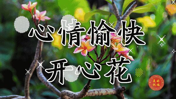 三八妇女节将至祝姐妹们节日快乐,三八妇女节提前祝女友们节日快乐