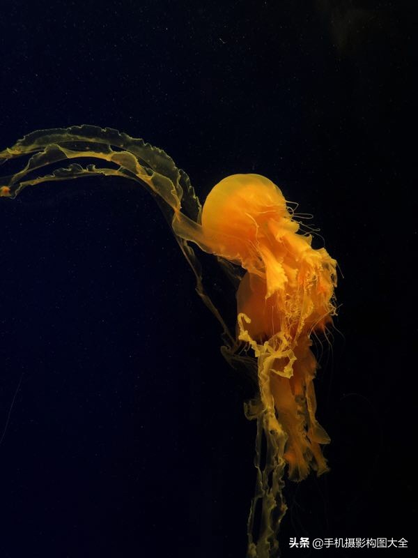 手机拍有趣照片,手机拍好看的全身照