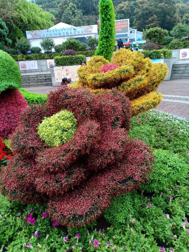 春暖花开的季节,春暖花开的季节歌名