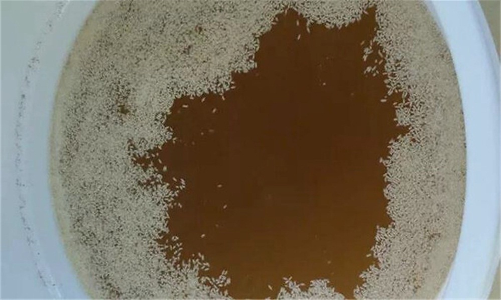 唐三自动酿酒设备,唐三镜酿酒技术米香型酒