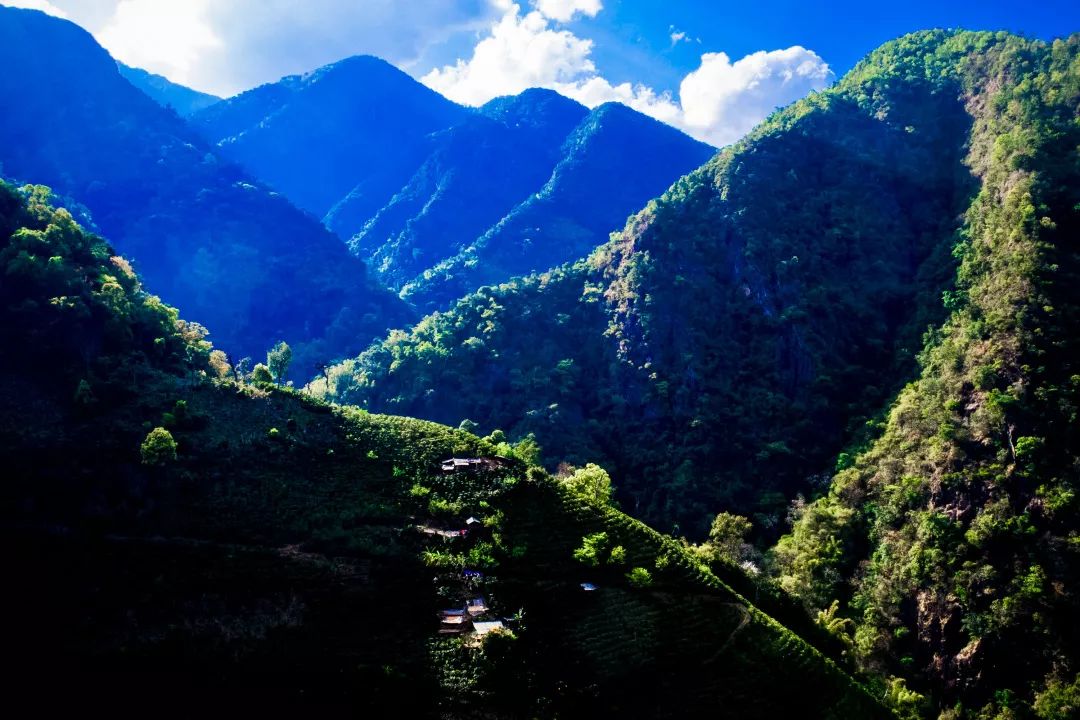 星巴克咖啡豆哪里卖,星巴克咖啡豆单卖的吗