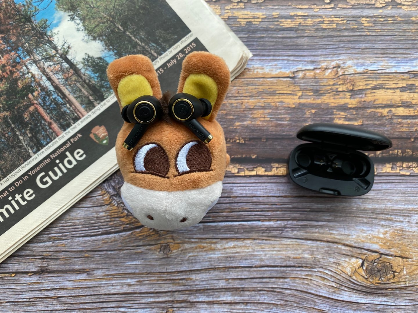 我酷故我在什么意思,我酷故我在