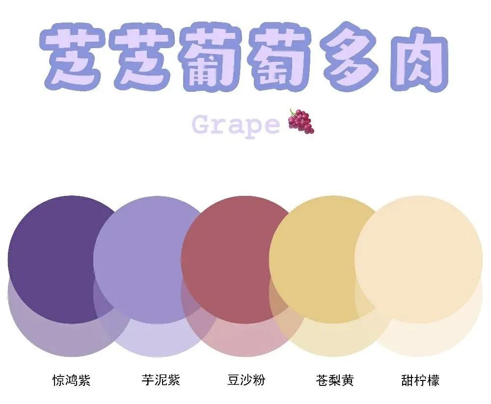 文具安利2019年,年度国产文具安利