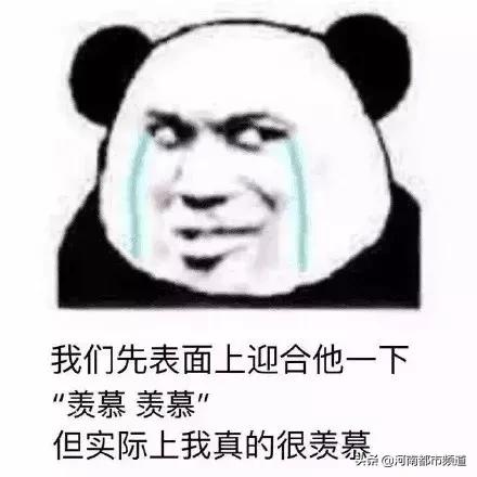 郑州一小区成立业委会有猫腻,郑州一小区业委会