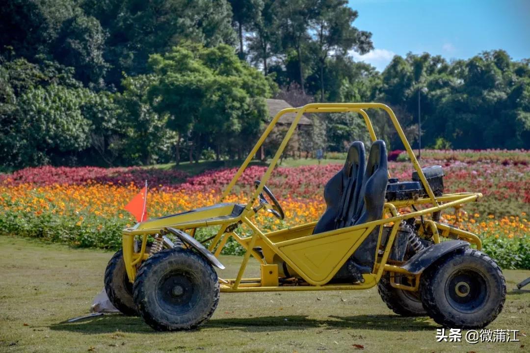 石象湖优惠,石象湖景区3月8号门票优惠吗