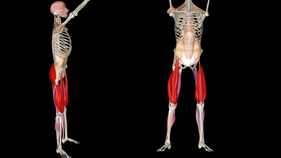 老年人蹲马步的正确方法,老年人膝盖疼蹲不下去怎么锻炼