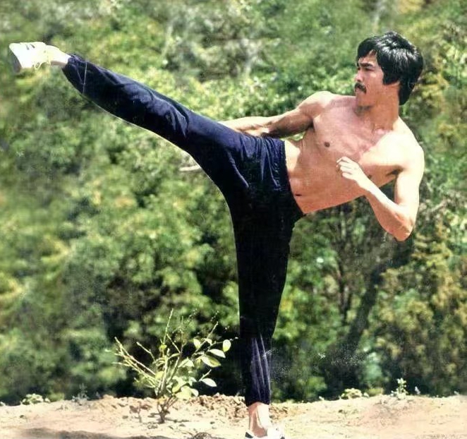 内外分析,李小龙短暂辉煌的一生