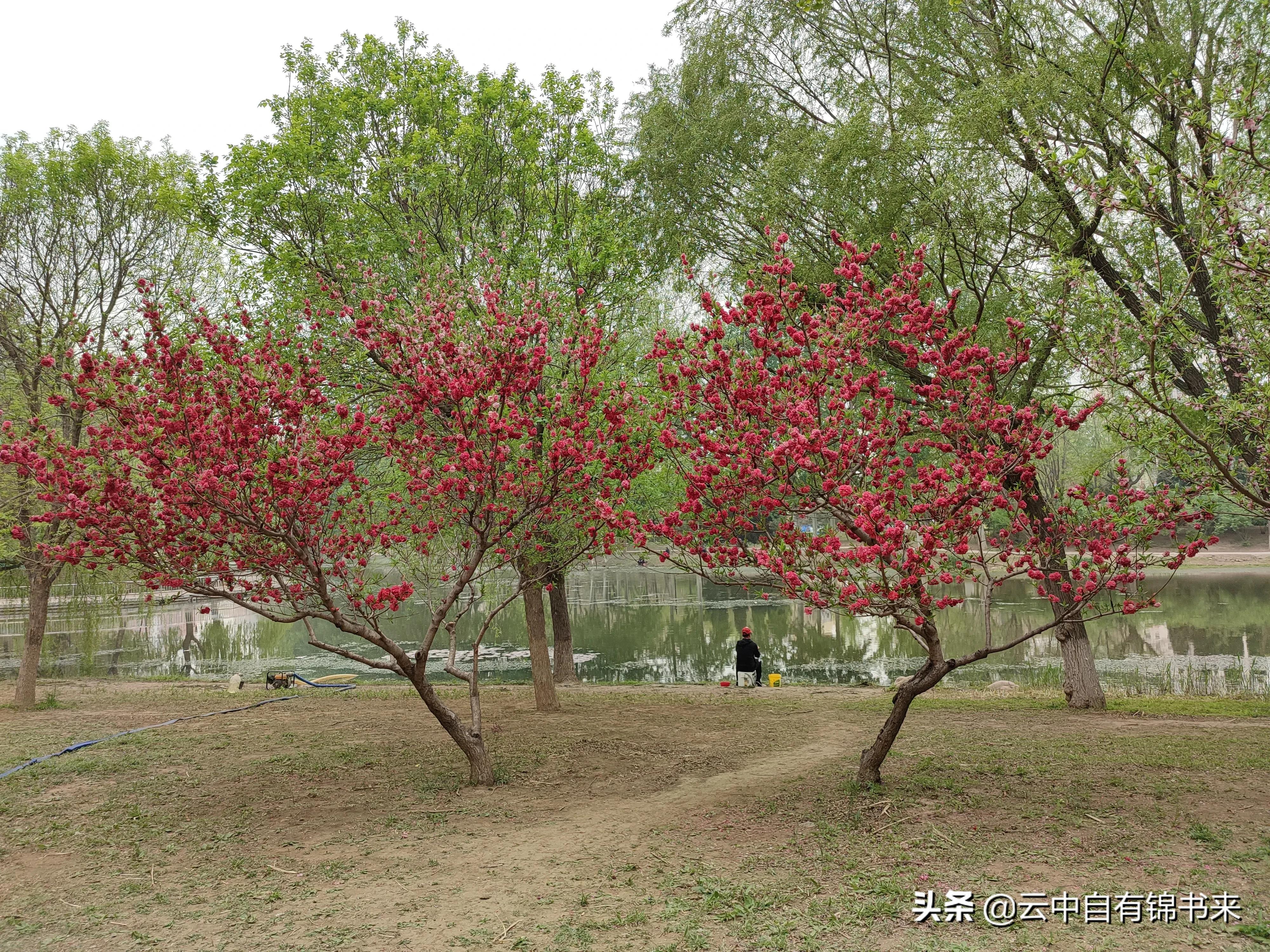 宝坻有什么好地方,宝坻最繁华的地方