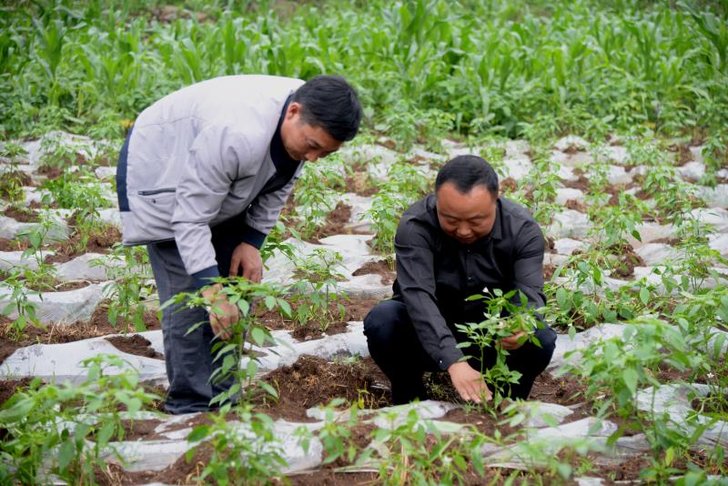清镇市王庄乡高山村黄勇,贵阳市清镇王庄乡高山村黄勇