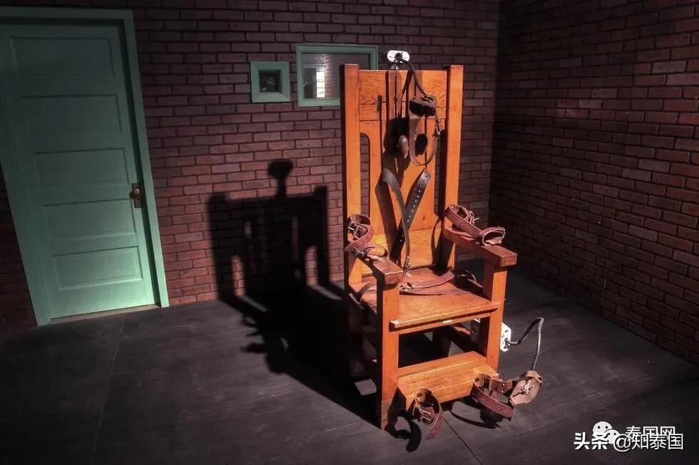 “变性人打狗”泰国热搜？比灾难更可怕的是灾难中现形的人心险恶