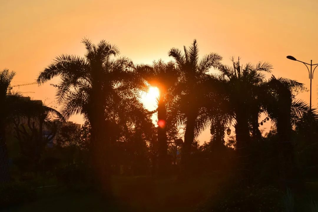 新都民国风情小镇,成都25个特色小镇