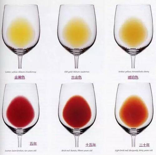 红酒入门100个口诀,红酒入门如何挑选红酒品牌