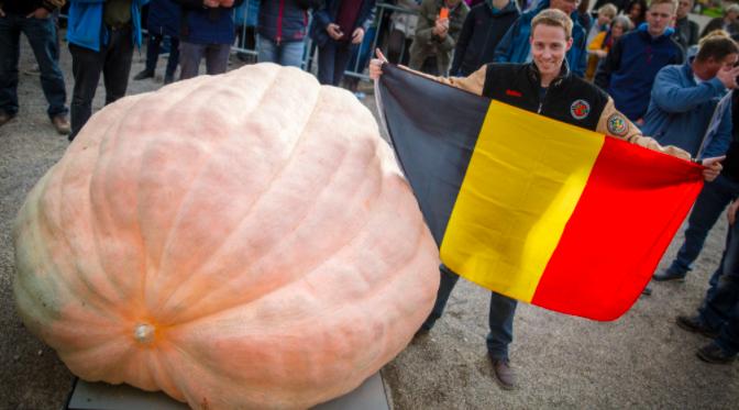 灰姑娘和南瓜马车的故事,灰姑娘的南瓜马车原版