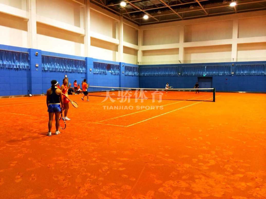 天骄羽毛球场,天骄体育网球场红土