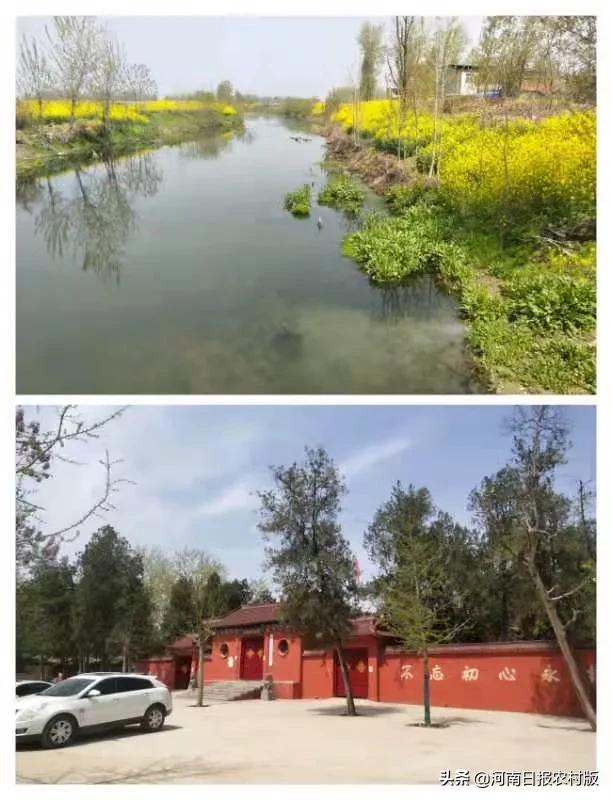 大沽河畔春意浓,清水河畔茉莉清香