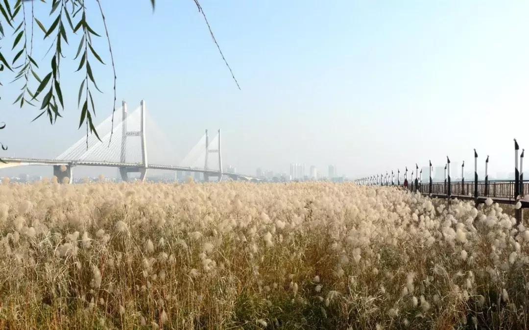 今年夏天在武汉必做的十件事,武汉新春过年坐地铁打卡攻略